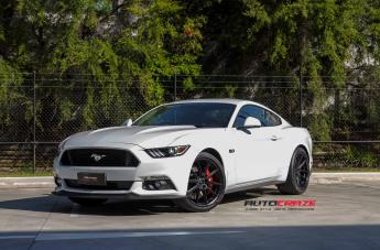 FORD MUSTANG EFS1 MATTE BLACK